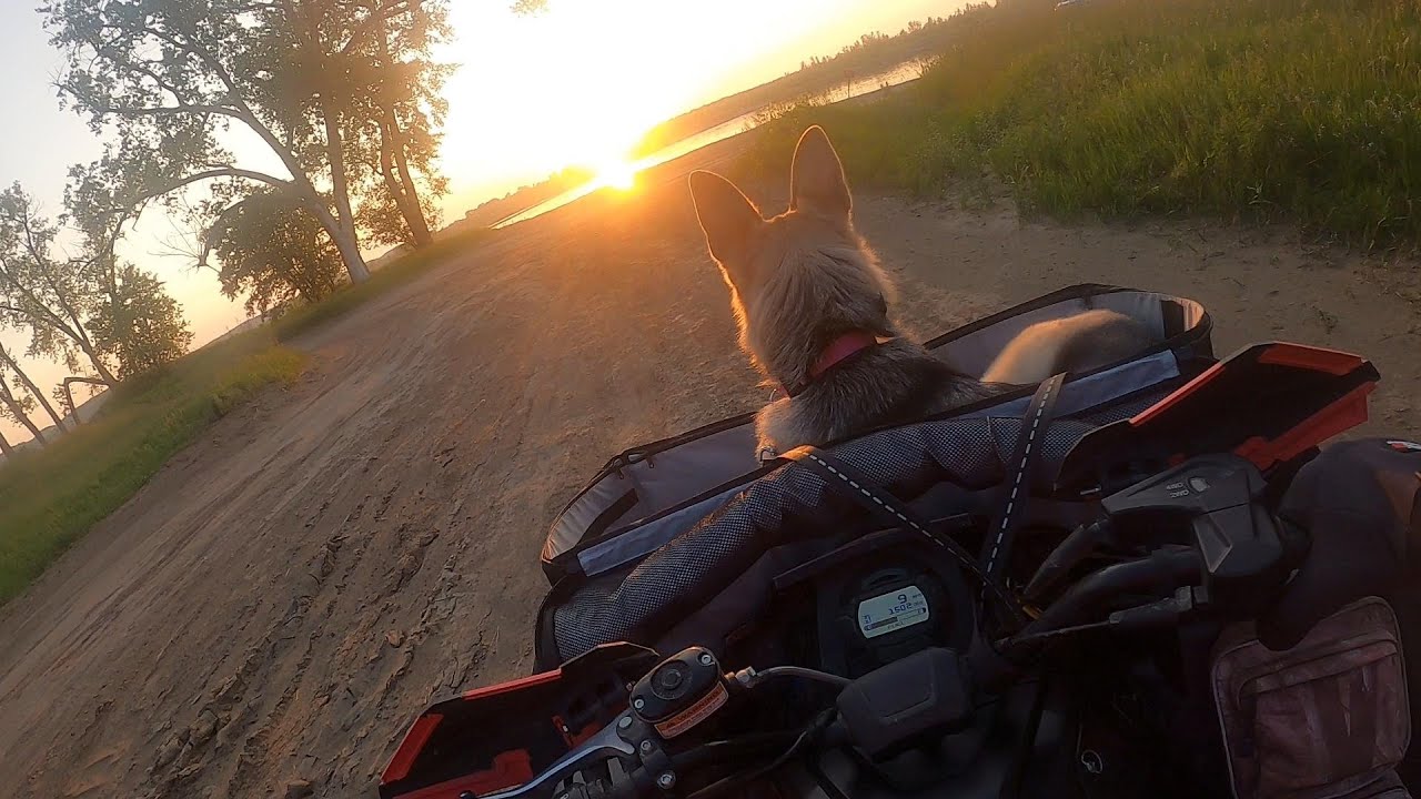 Life Is Beautiful.  ATV Camping  By The River With A Dog