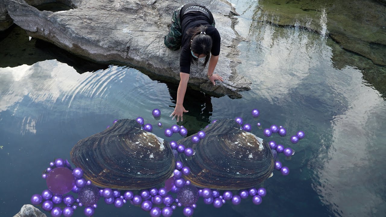 😱😱Under the deep pool, giant clams spit out countless purple pearls, dazzling and charming