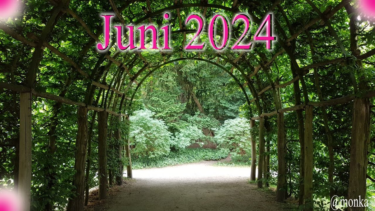 Löwe Juni 2024 *Der Samen geht durch Optimismus auf.