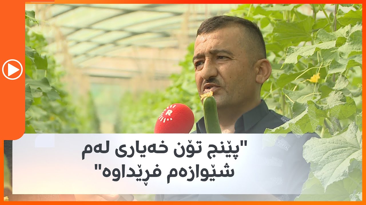 بەشێک لە جووتیاران خەیار فڕێدەدەنە شەقامی بەردەم باڵەخانەی پارێزگای سلێمانی