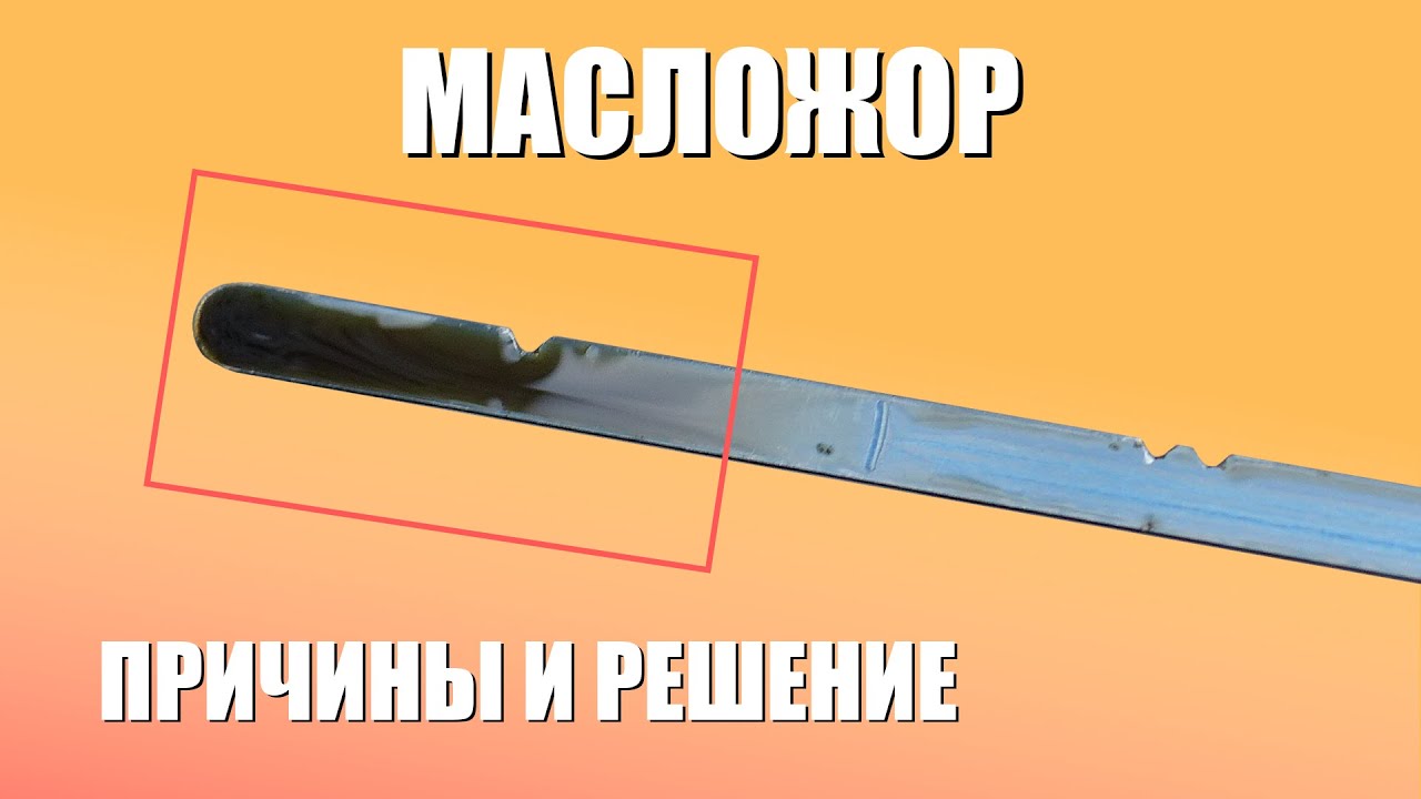 Честно про масложор двигателя и расход масла / Как выявить и устранить?