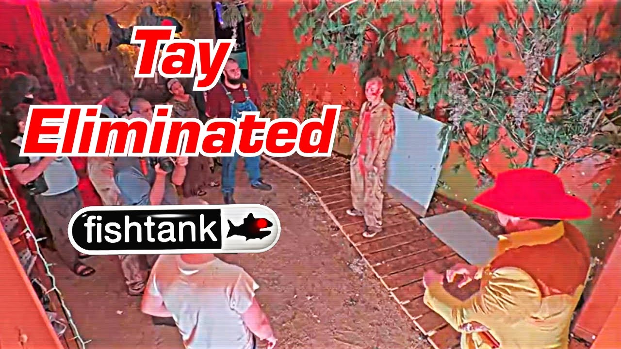 Tayleigh Eliminated FishTank Season 2