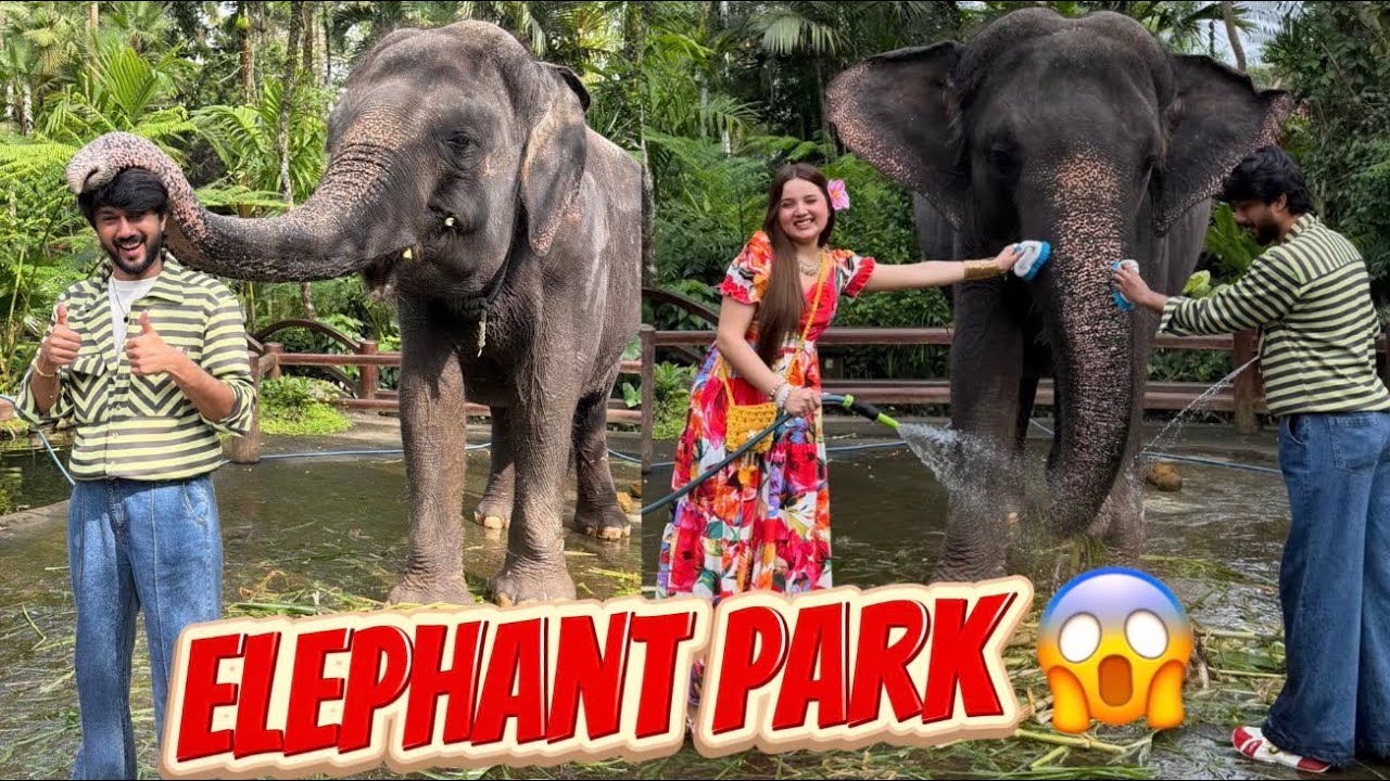 First Time Elephant ko shower dia 💦🐘😍| Rabeeca dargayi 😱 