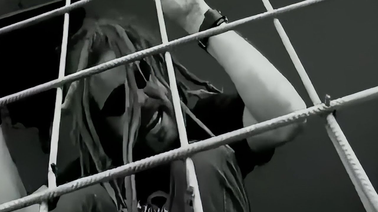 In Flames - Touch Of Red (Official Music Video)