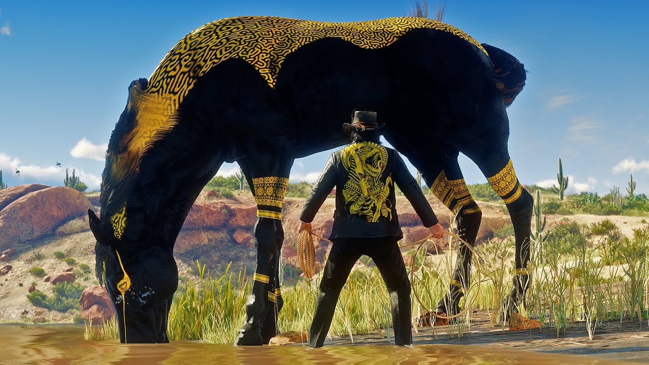 The Best Tamer Spots and Tames a Legendary Black & Gold Egyptian Horse in the Desert