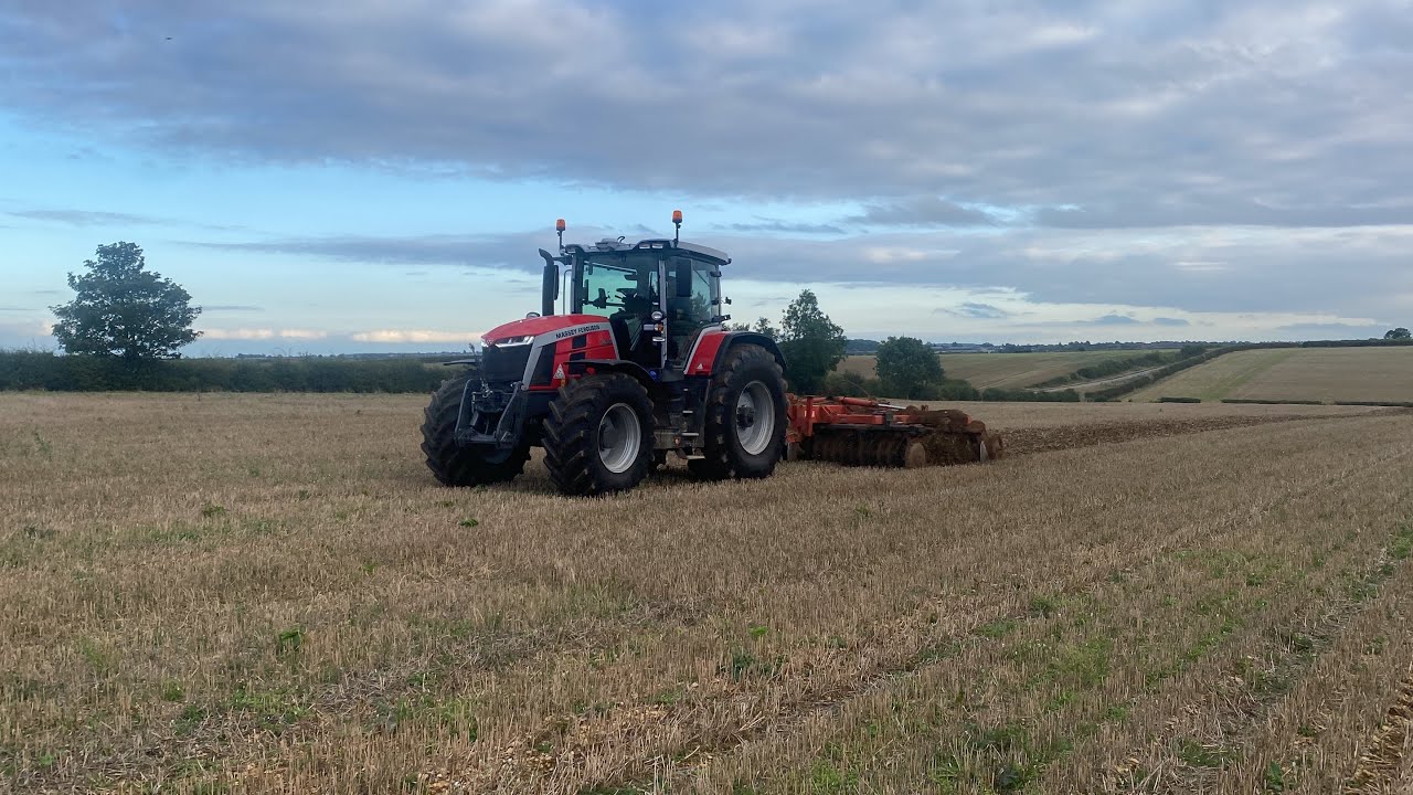 Massey Ferguson 8S.245D7 discing