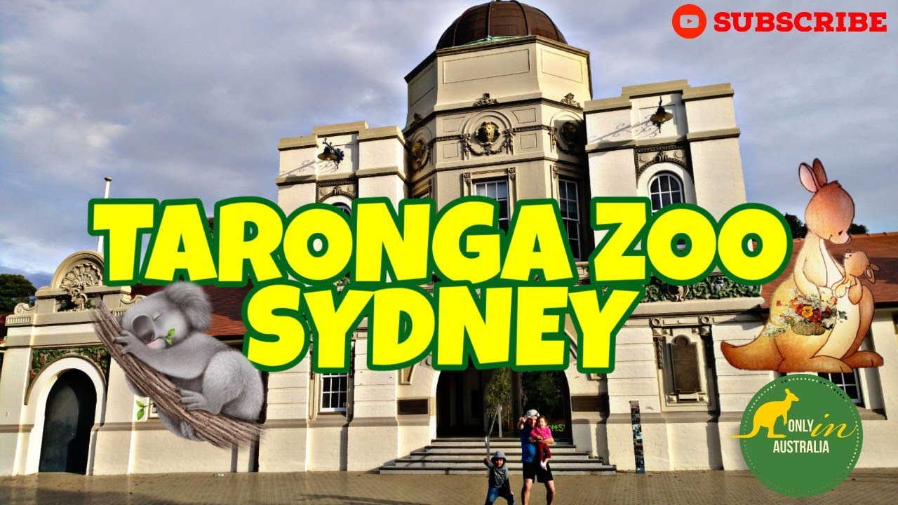 TARONGA ZOO SYDNEY | BEST ZOO IN SYDNEY | TOURIST DESTINATION IN AUSTRALIA | AUSTRALIAN ZOO | KOALA