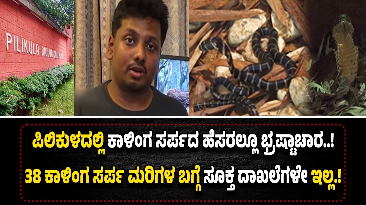 ಪಿಲಿಕುಳದಲ್ಲಿ ಕಾಳಿಂಗ ಸರ್ಪದ ಹೆಸರಲ್ಲೂ ಭ್ರಷ್ಟಾಚಾರ..! 2 ಕೋಟಿಗೂ ಅಧಿಕ ಅನುದಾನ ಪಡೆದು ಪಾಲನೆ ಮರೆತ ಆಡಳಿತ.!
