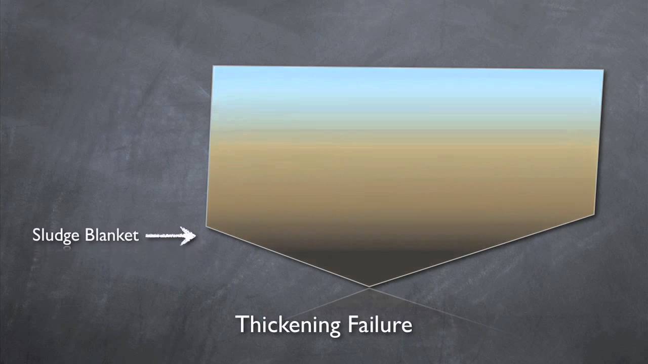Clarifier Basics