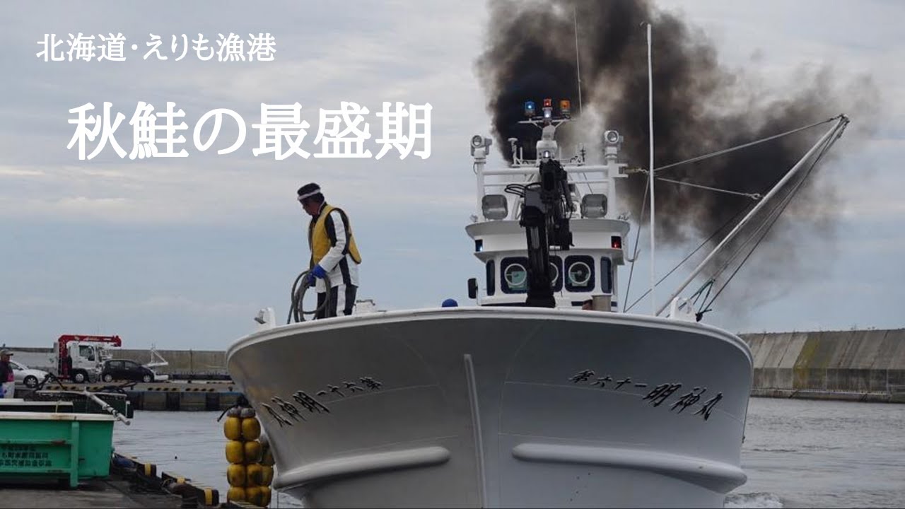 【日本一周㊲】えりも定置網漁・サラブレッド銀座・とねっこ湯・苫小牧フェリーターミナル