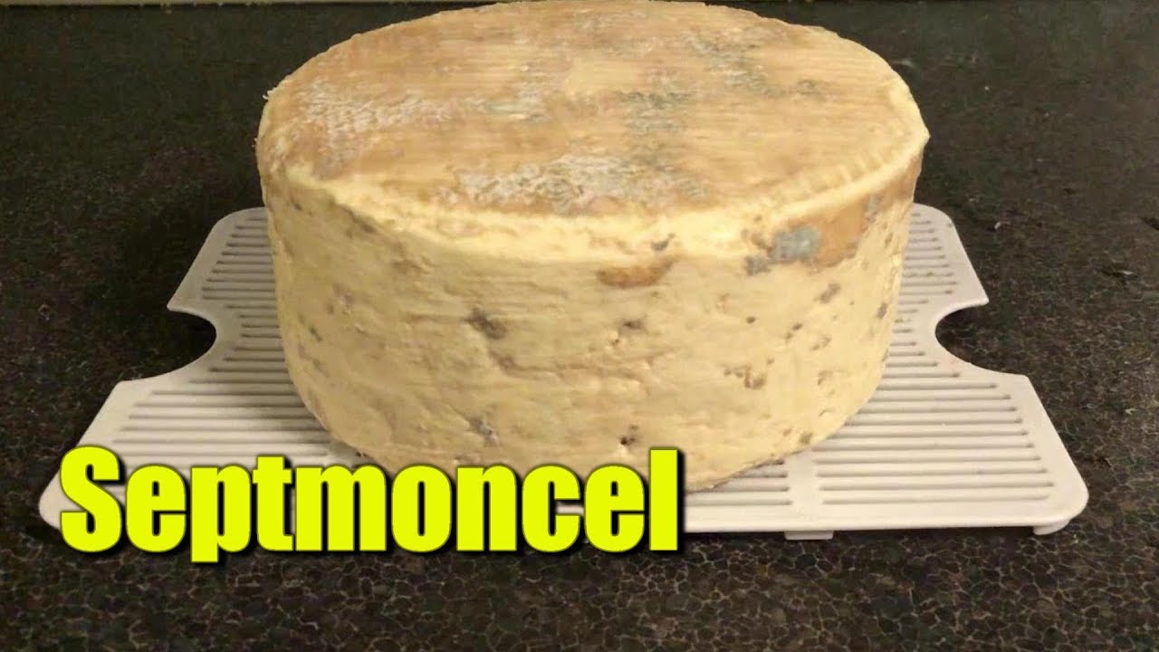 How to Make Septmoncel (French Blue Cheese)