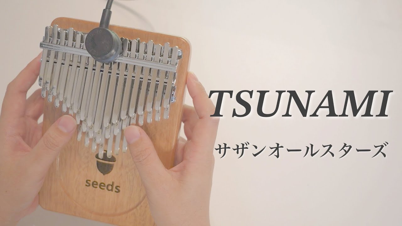 TSUNAMI / サザンオールスターズ【Seeds41キークロマチックカリンバ】