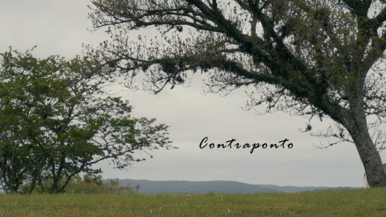 Contraponto - Documentário (LIBRAS)