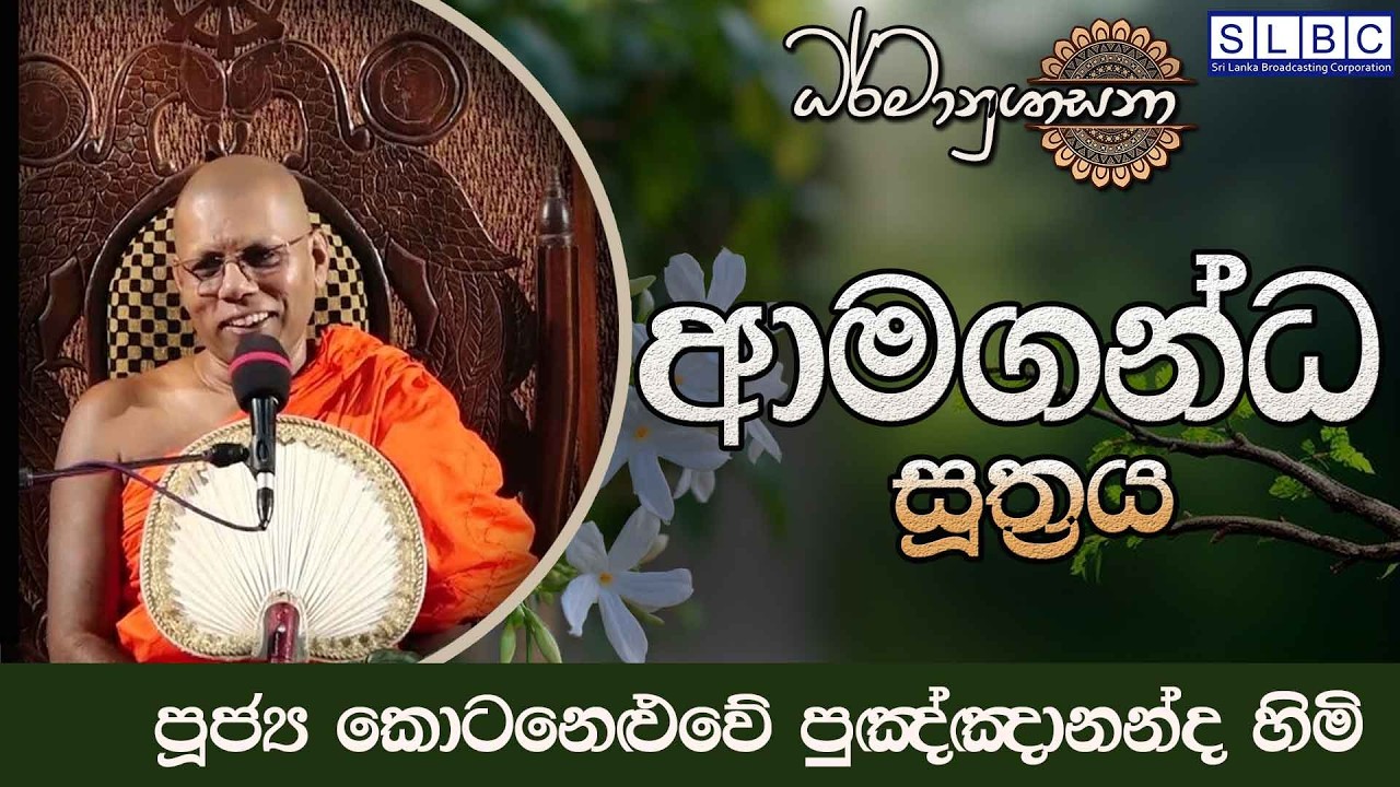 2026 MARCH 14 | 08 00 AM |ආමගන්ධ සූත්‍රය | පූජ්‍ය කොටනෙළුවේ පුඤ්ඤානන්ද හිමි