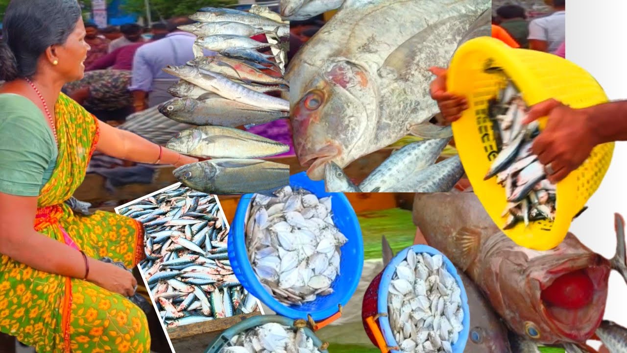 💥 Biggest fish market in chennai 😲 🐠 Wholesale market 🐟Kasimedu fish market 🔥@ADIESVLOGSFOODS
