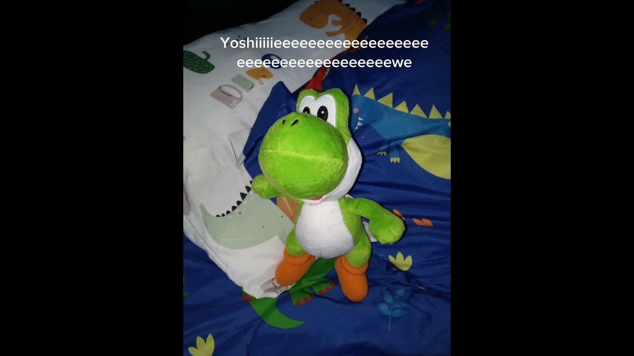 The Yoshi time!!!!!