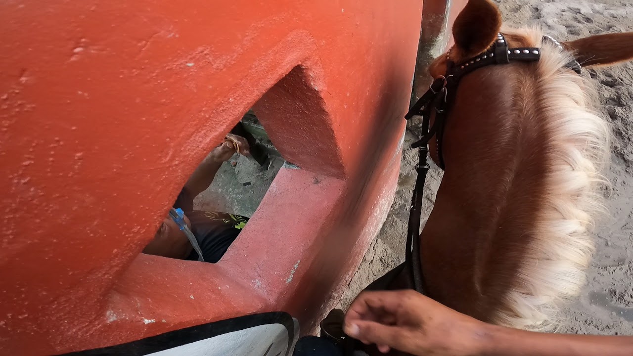 Treino de vaquejada na Gopro