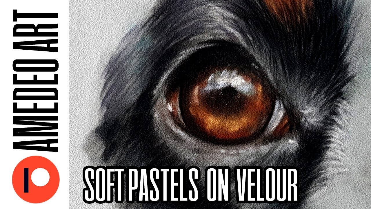 How to draw a dog's eye with soft pastels on velour paper easy step by step tutorial