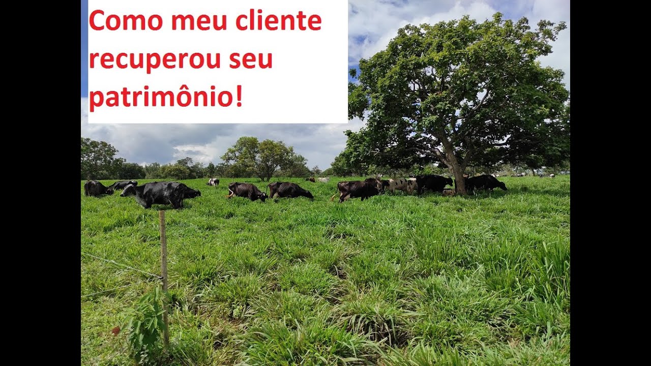 Como meu cliente recuperou seu patrimônio!