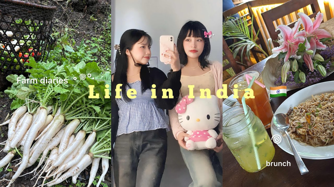 Life in India 🇮🇳 🍨 : Last summer days | Farm diaries | Aesthetic vlog🍃