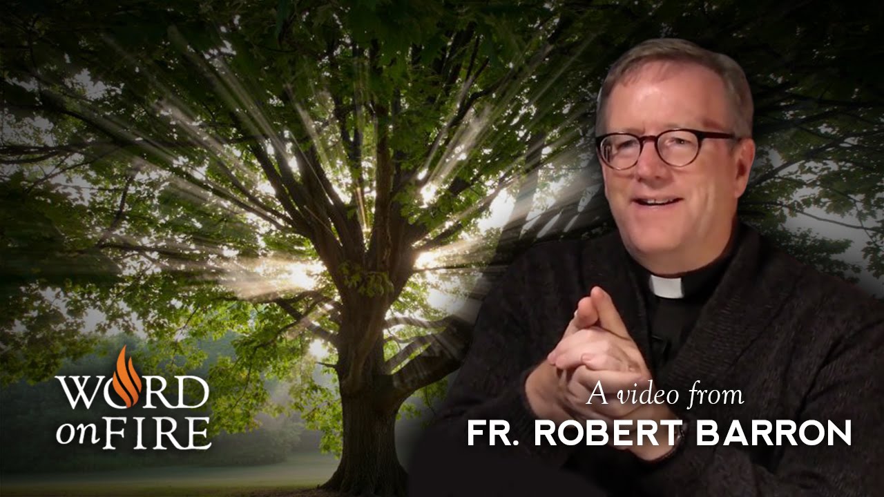 Bishop Barron on The Genealogy of Jesus