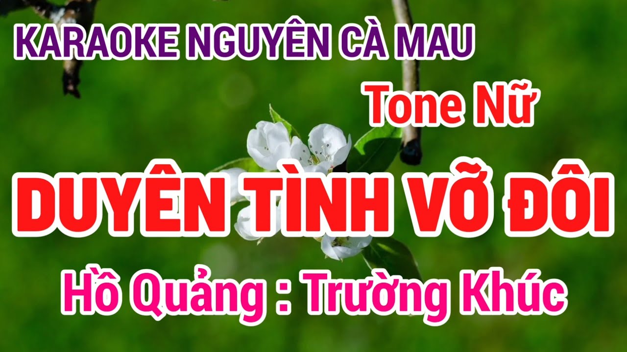 Karaoke Duyên Tình Vỡ Đôi | Hồ Quảng Trường Khúc | Tone Nữ | Nguyên Cà Mau 11/4/2024