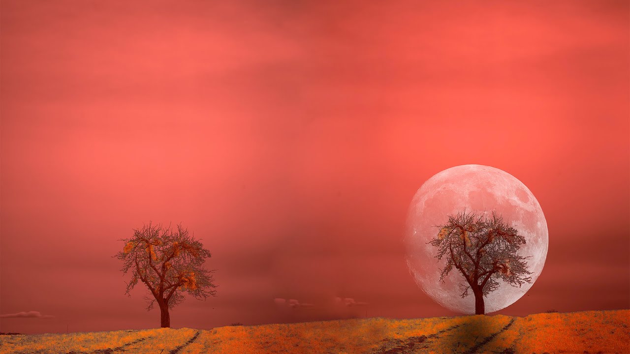 How to Place a Moon Behind Tree  Using Photoshop Blending Option  tutorial