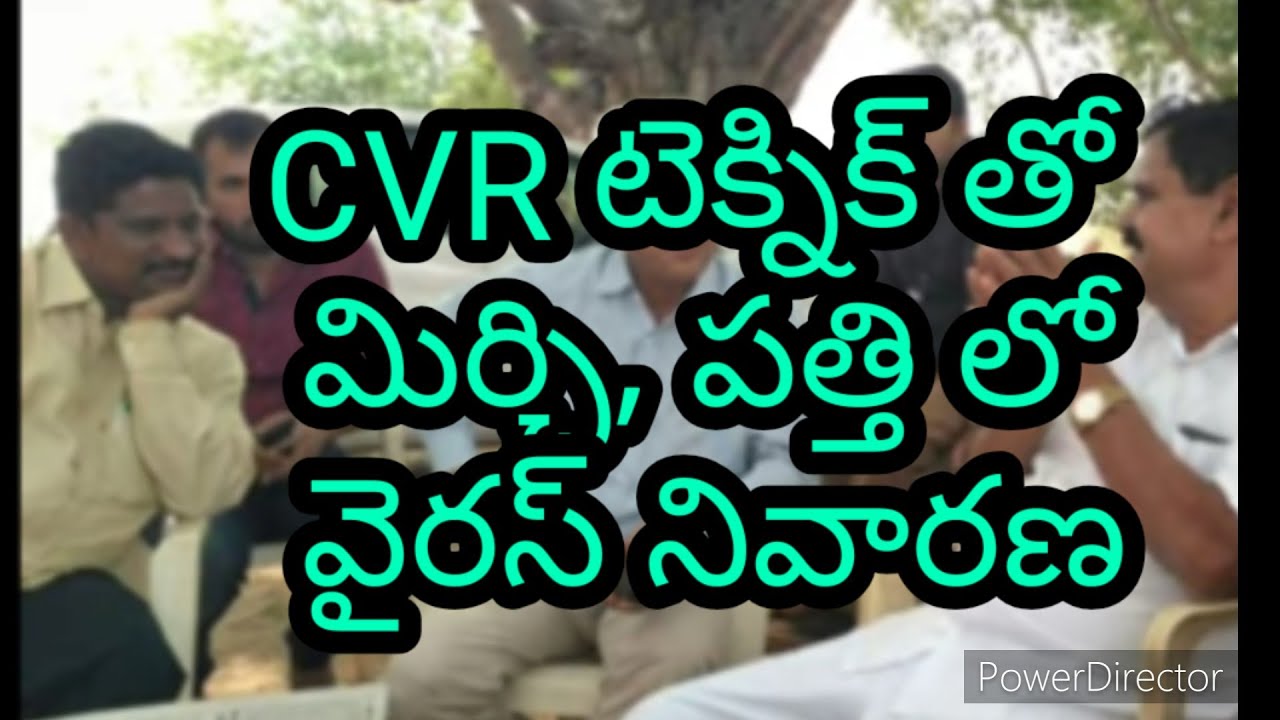 మిర్చి లో వైరస్, పత్తి గురించి పద్మశ్రీ చింతల వెంకటరెడ్డి