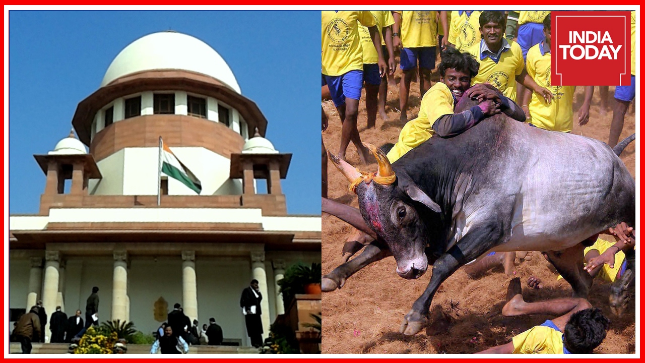 Supreme Court To Hear Plea Against The New Law Allowing Jallikattu