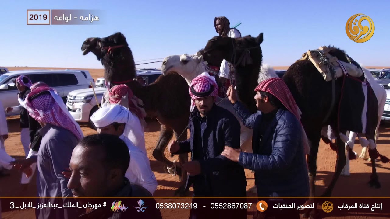 الفرديات هزامه و لواعه  لمالك الفرديات سحمي وقيان الهوامله الدوسري 2019