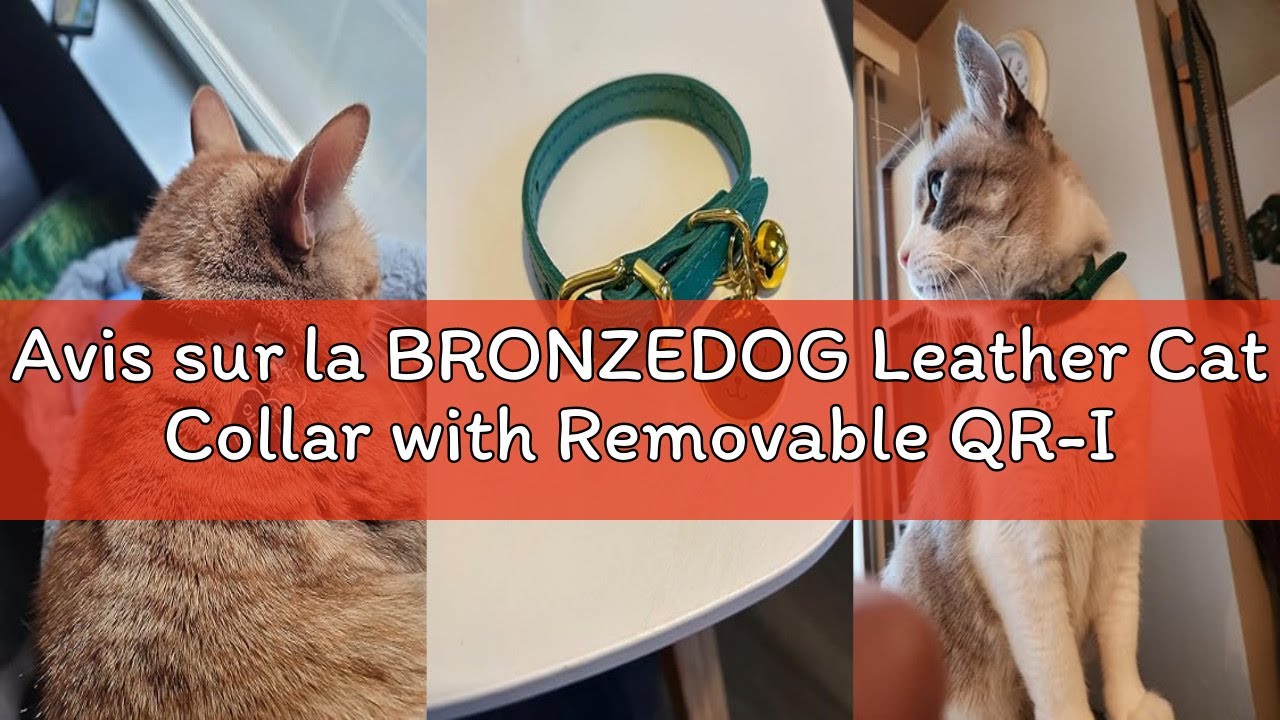Avis sur la BRONZEDOG Leather Cat Collar with Removable QR-ID Tag - Kitten Collar with Bells Non-Str