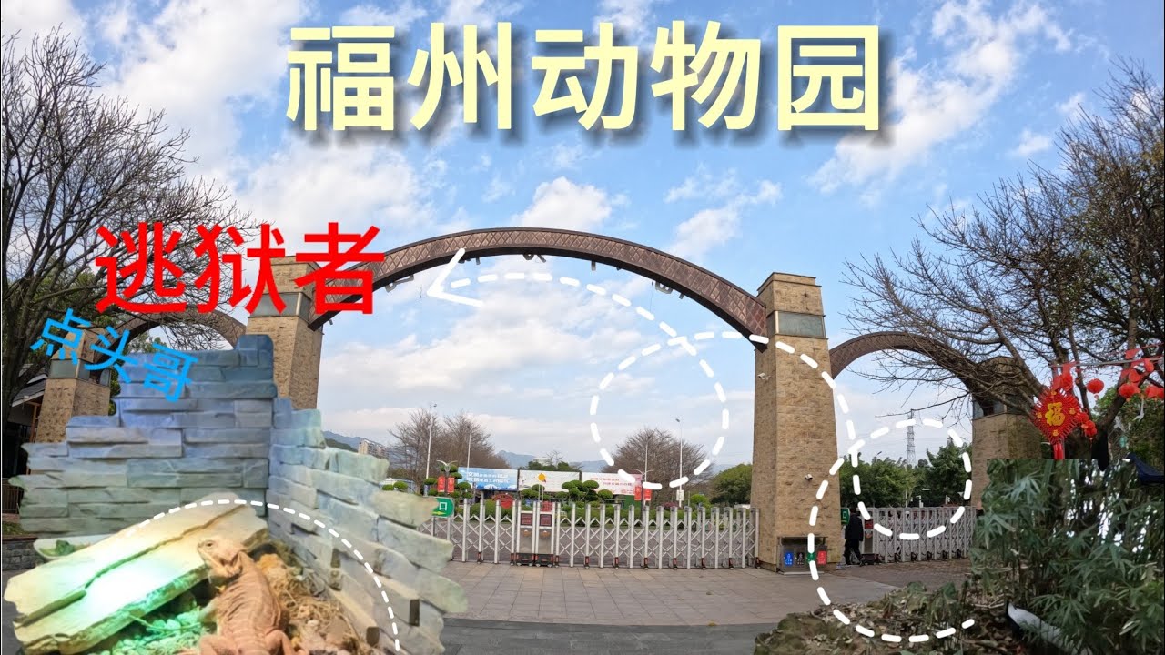 【福州周边游】动物园随拍🥰