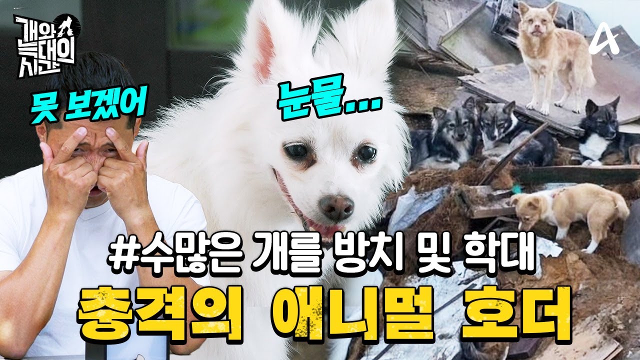 [#클립배송] '보호'라더니&hellip; 방치와 학대만 가득한 애니멀 호더의 민낯, 수백 마리 개들의 충격적인 현실 | 개와 늑대의 시간 11회