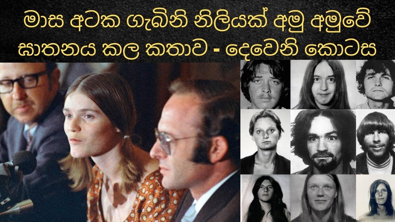 මාස අටක ගැබිනි මවගේ ඝාතනය - දෙවෙනි කොටස | knowledge station