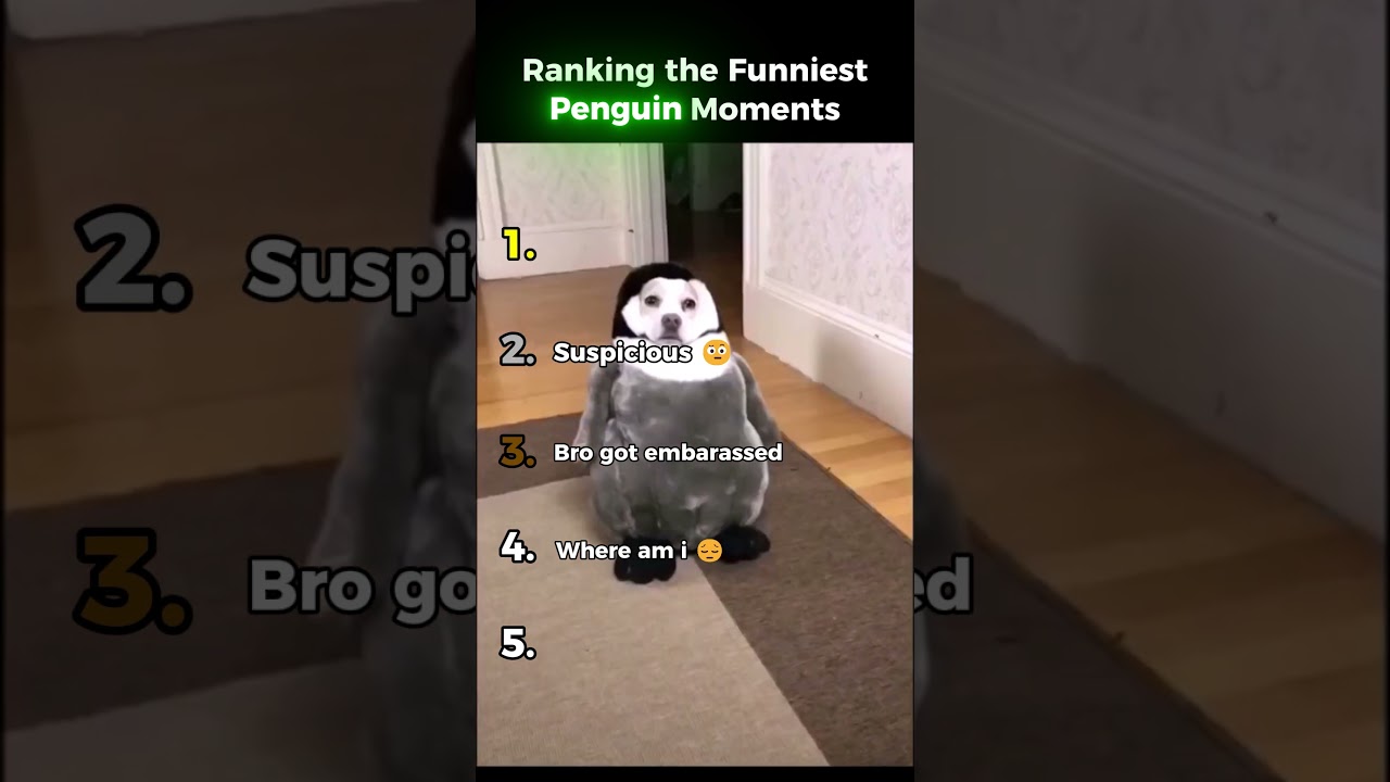 Ranking Funniest Penguin Moments Core 🐧😆 #funnyanimals #penguin #ranking