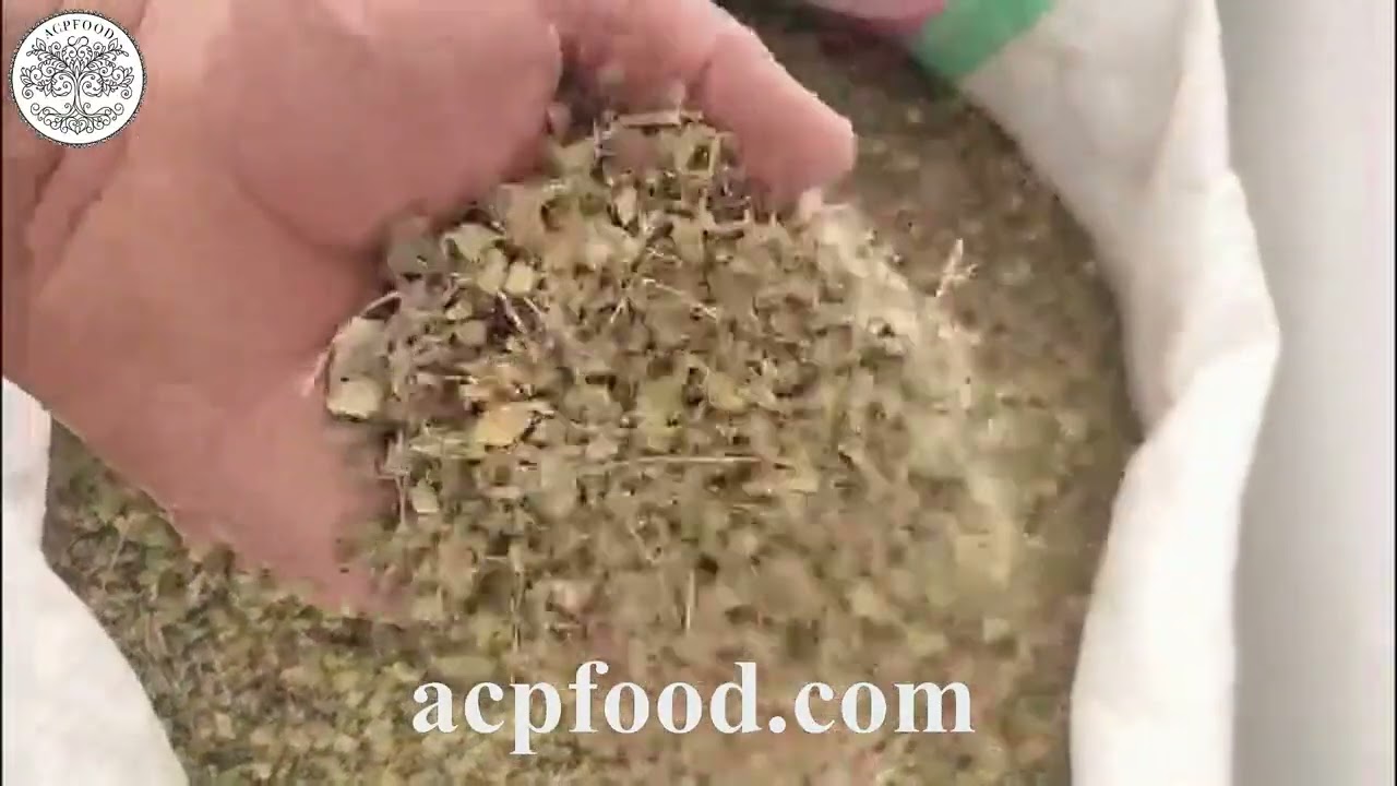 🌿 Premium Zataria multiflora (Shirazi Thyme) – Direct Export Worldwide