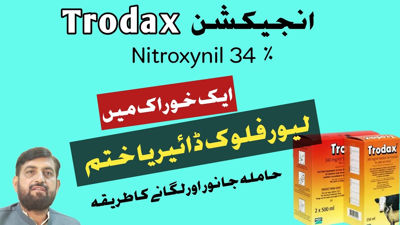 Inj Trodax - Nitroxynil For Liver Fluke Chronic Diarrhea | Meetha Zehar gilar Ka Ilaj Kaisay Karain
