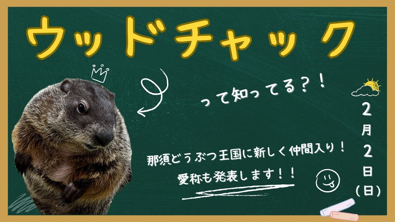 『ウッドチャック』って知ってる？！