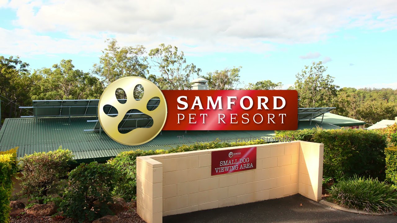 Dog Guest Room | Samford Pet Resort