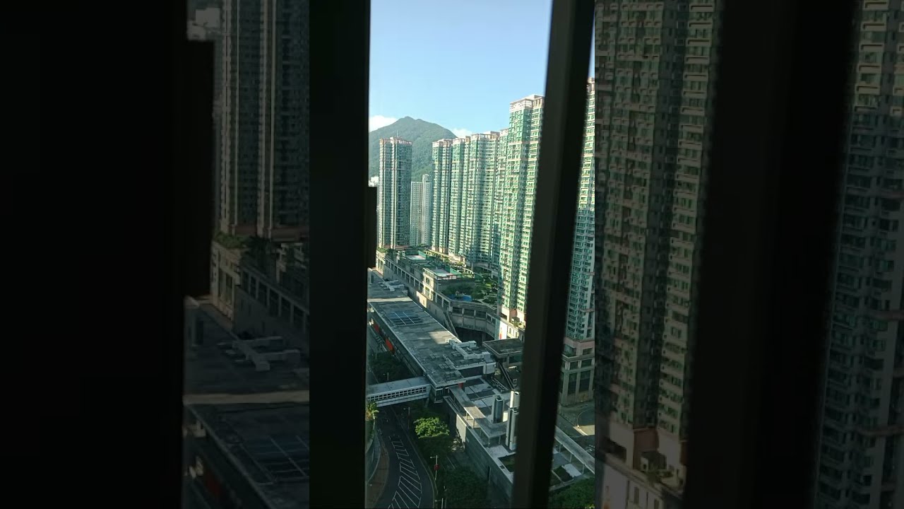 Silent Live on window view