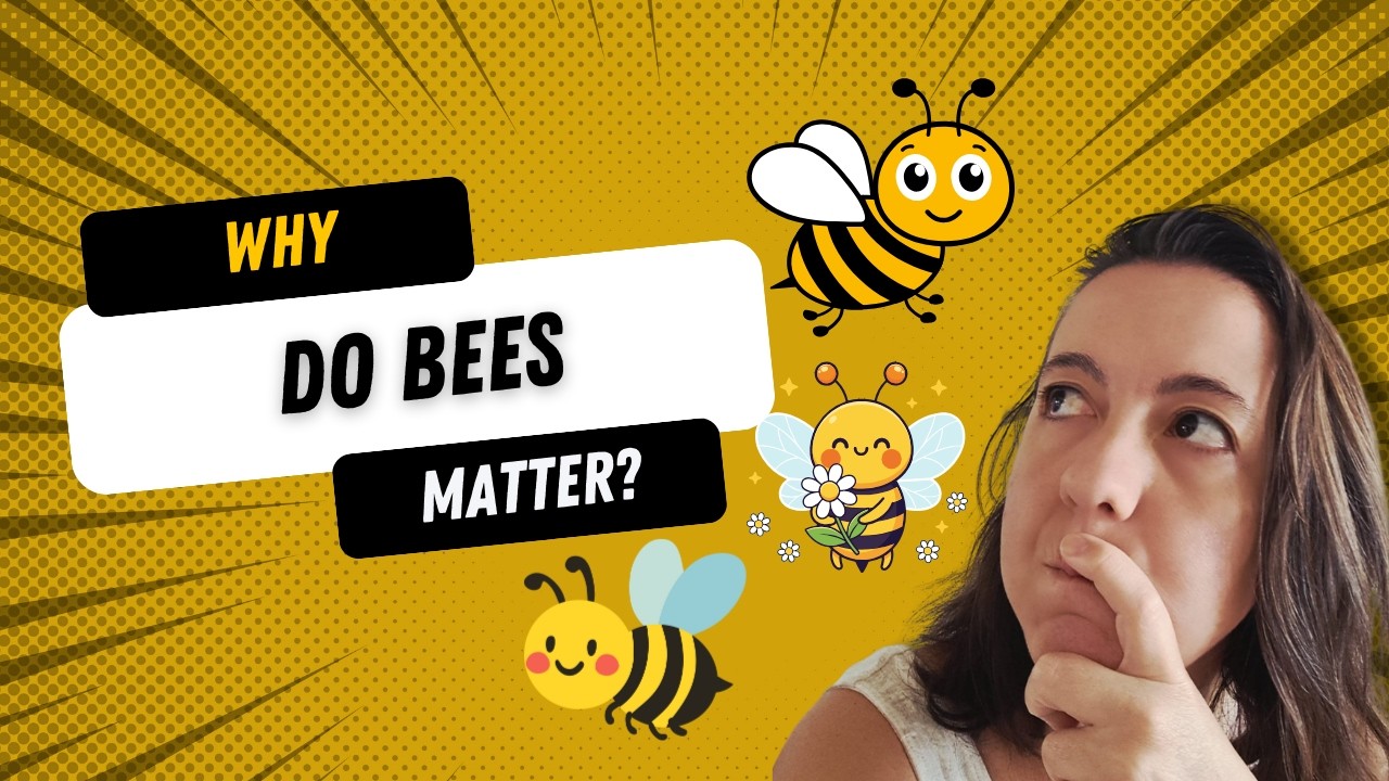 Why do bees matter?