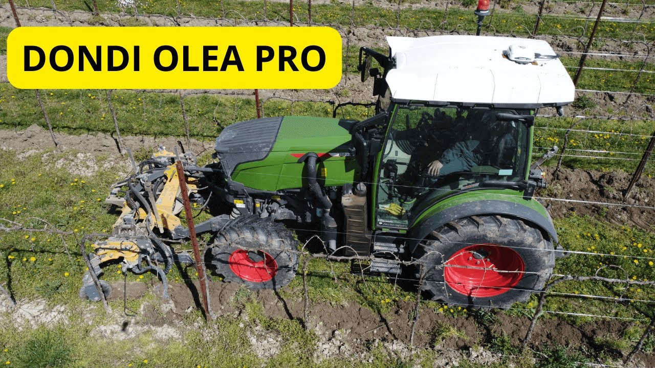 Fendt 210 + Scalzatore DONDI OLEA PRO | LA GAZZA