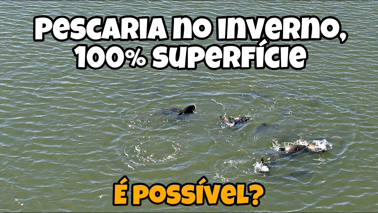 Fishing in winter, lots of action on the surface! Is it possible? #part1