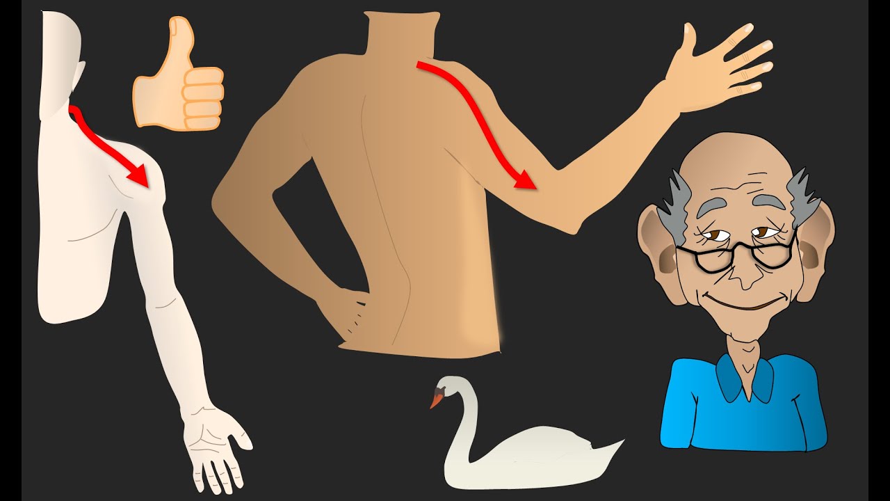 How to remember CERVICAL SPINE pain distributions!