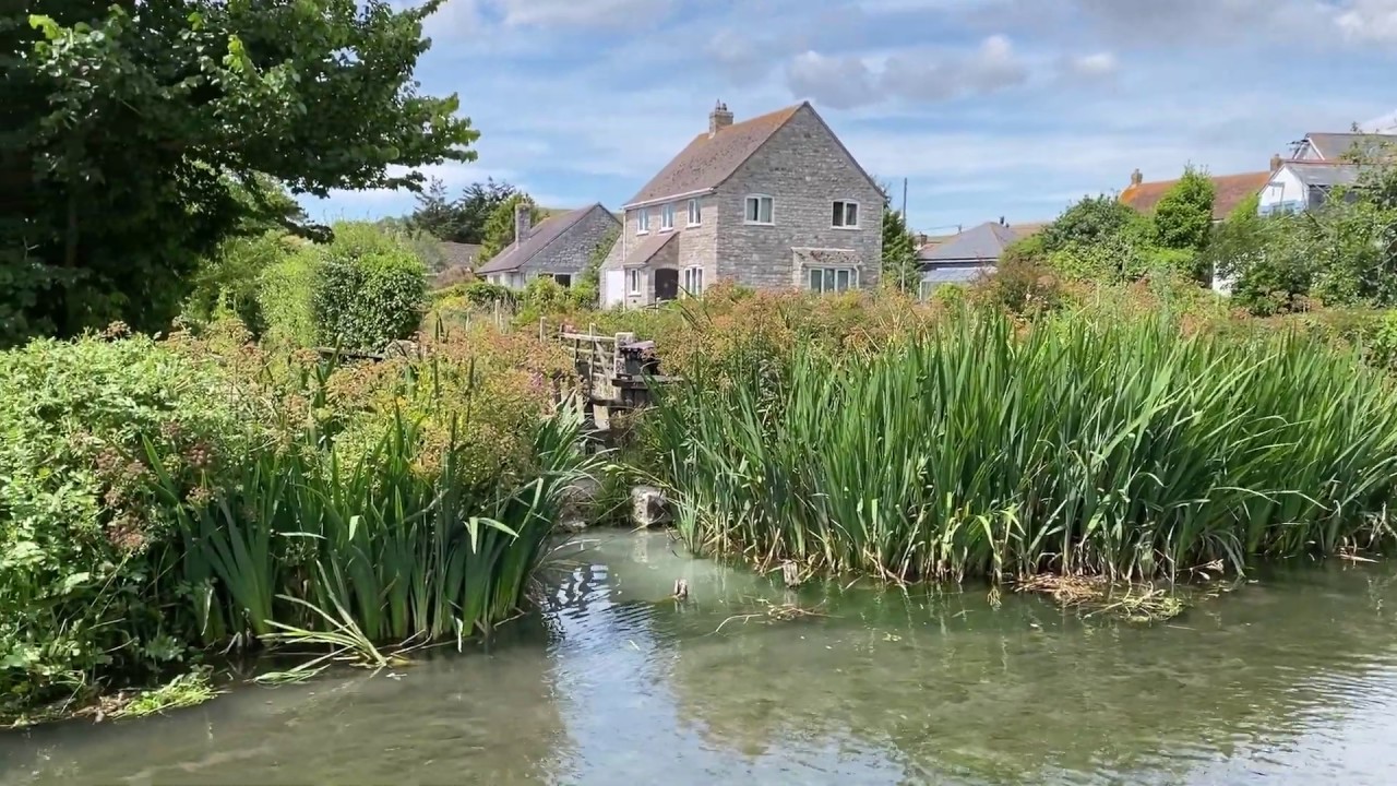 Sutton Poyntz walk 12 7 2020