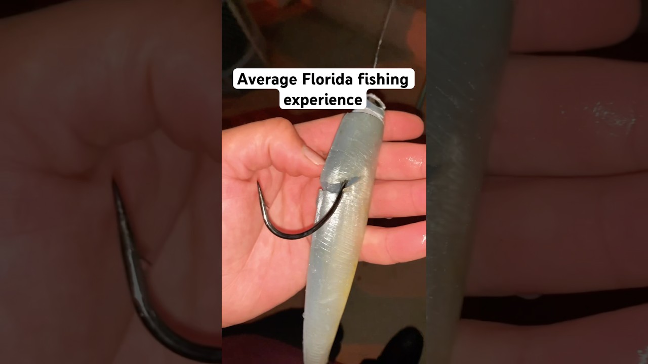 Tarpon go zoom 🏎️🏁 #tarpon #fishing #florida #foryoupage  #grouper #bigfish