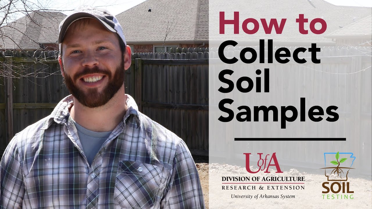 Soil Testing: How to Collect Soil Samples at Home
