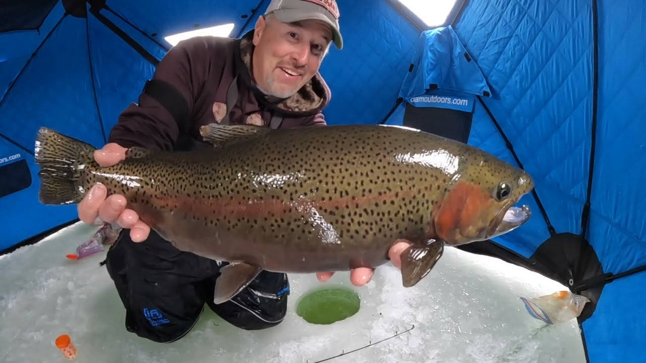 Sight Fishing Rainbow Trout Through The Ice