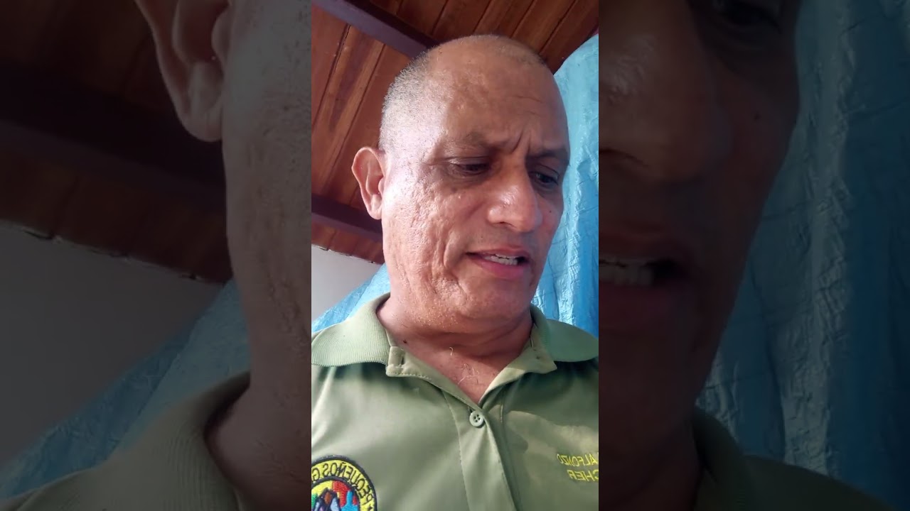 Las bondades de tener un patio en tu casa!