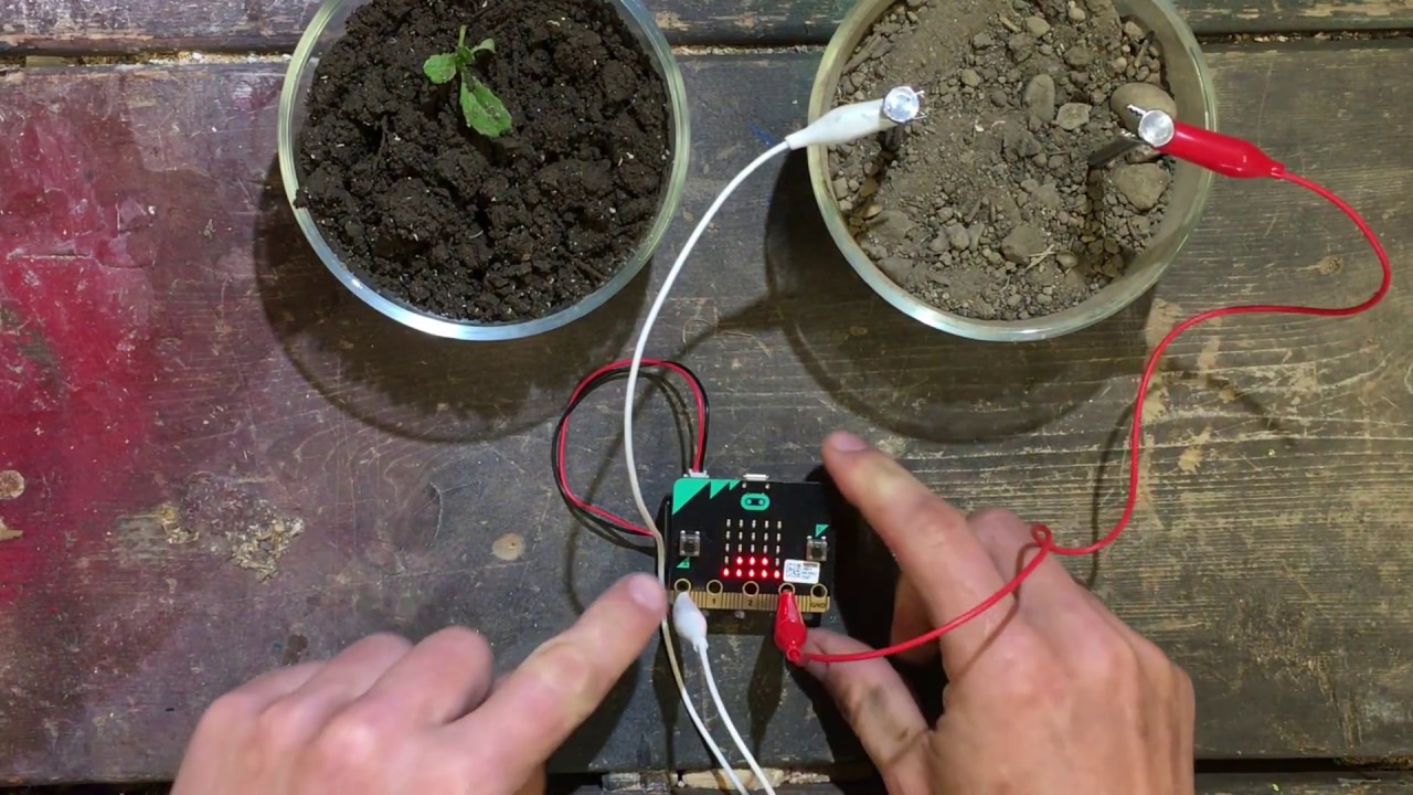 micro:bit moisture sensor